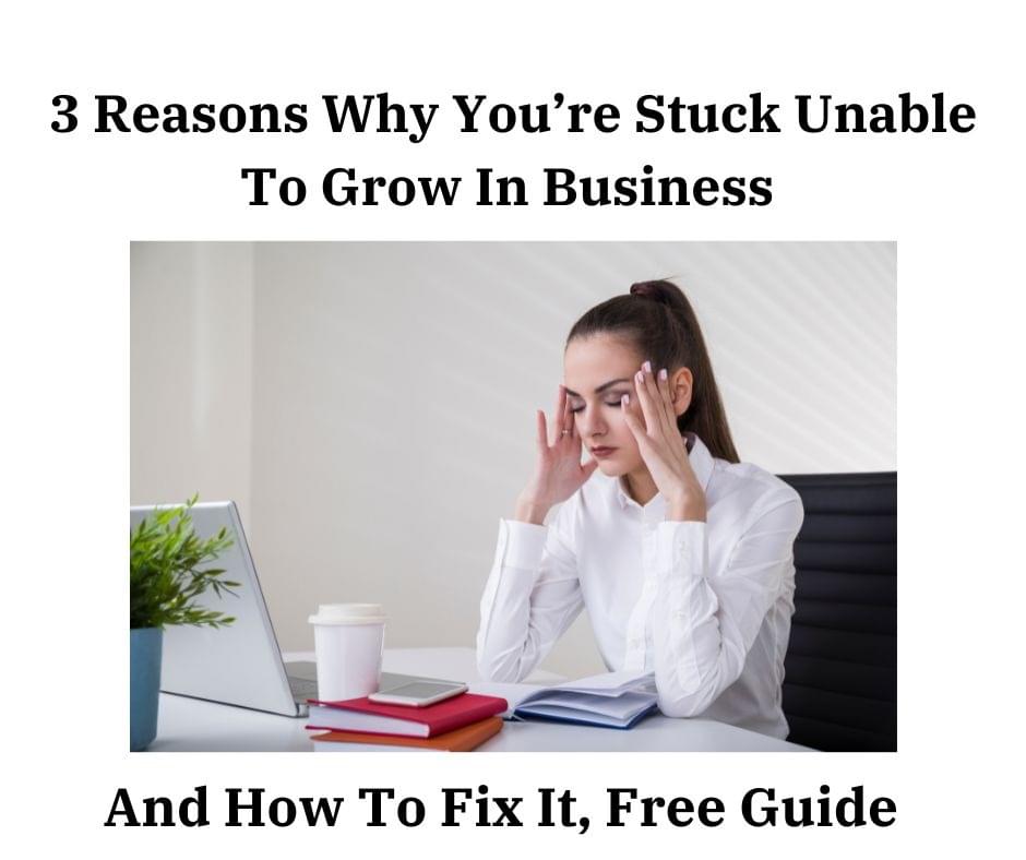 3 Reasons Why You're Stuck, Unable to Grow In Business and How to Fix ...